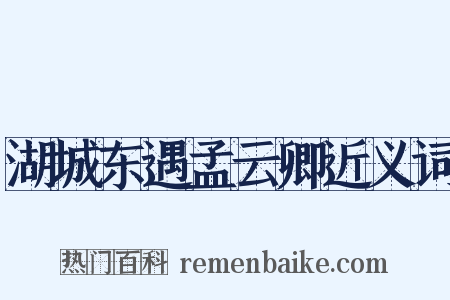 湖城东遇孟云卿近义词是什么意思的图片